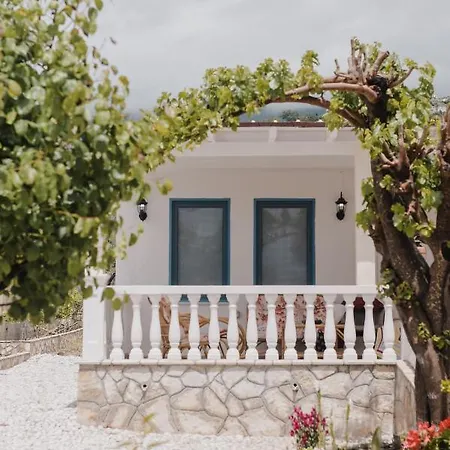 Natali * Himare