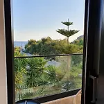 Natali 希马拉