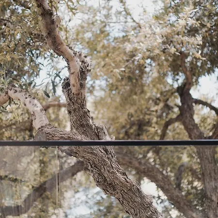 Appartamento Natali Himare