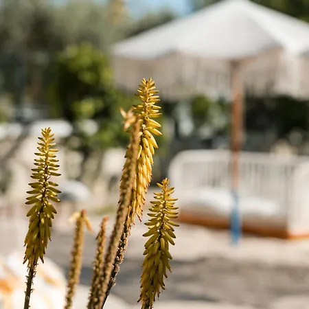 Apartment Natali Himare