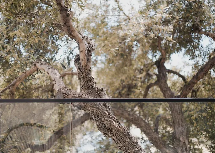 Appartement Natali Himare